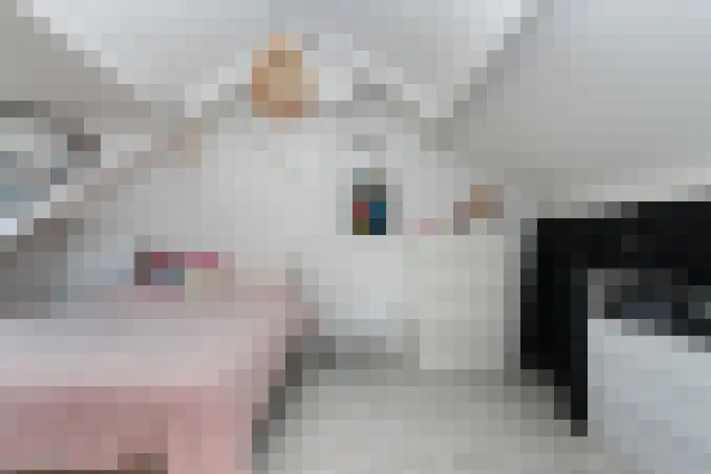 Trasmolen 13 Papendrecht thumbnail 28