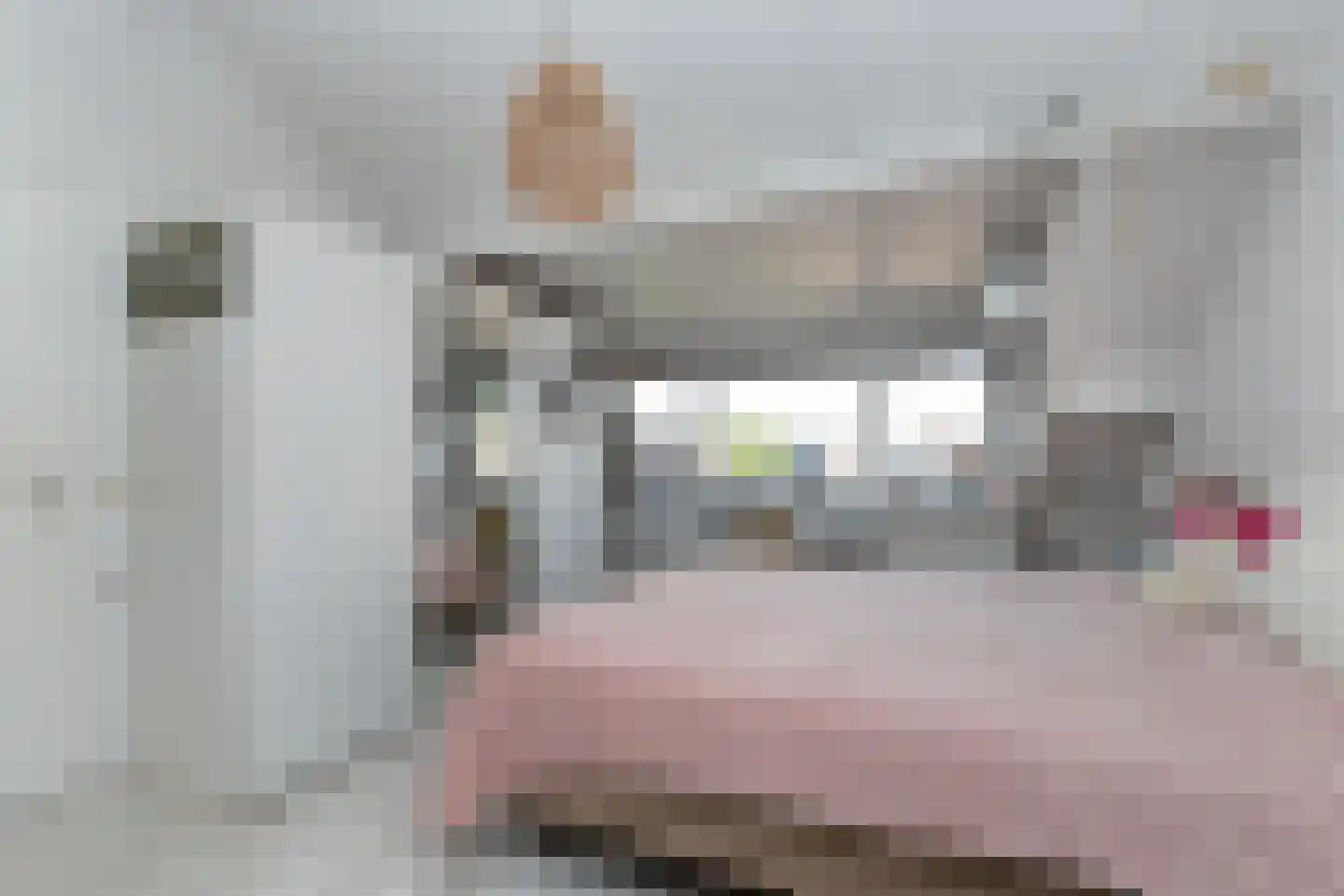 Trasmolen 13 Papendrecht thumbnail 30