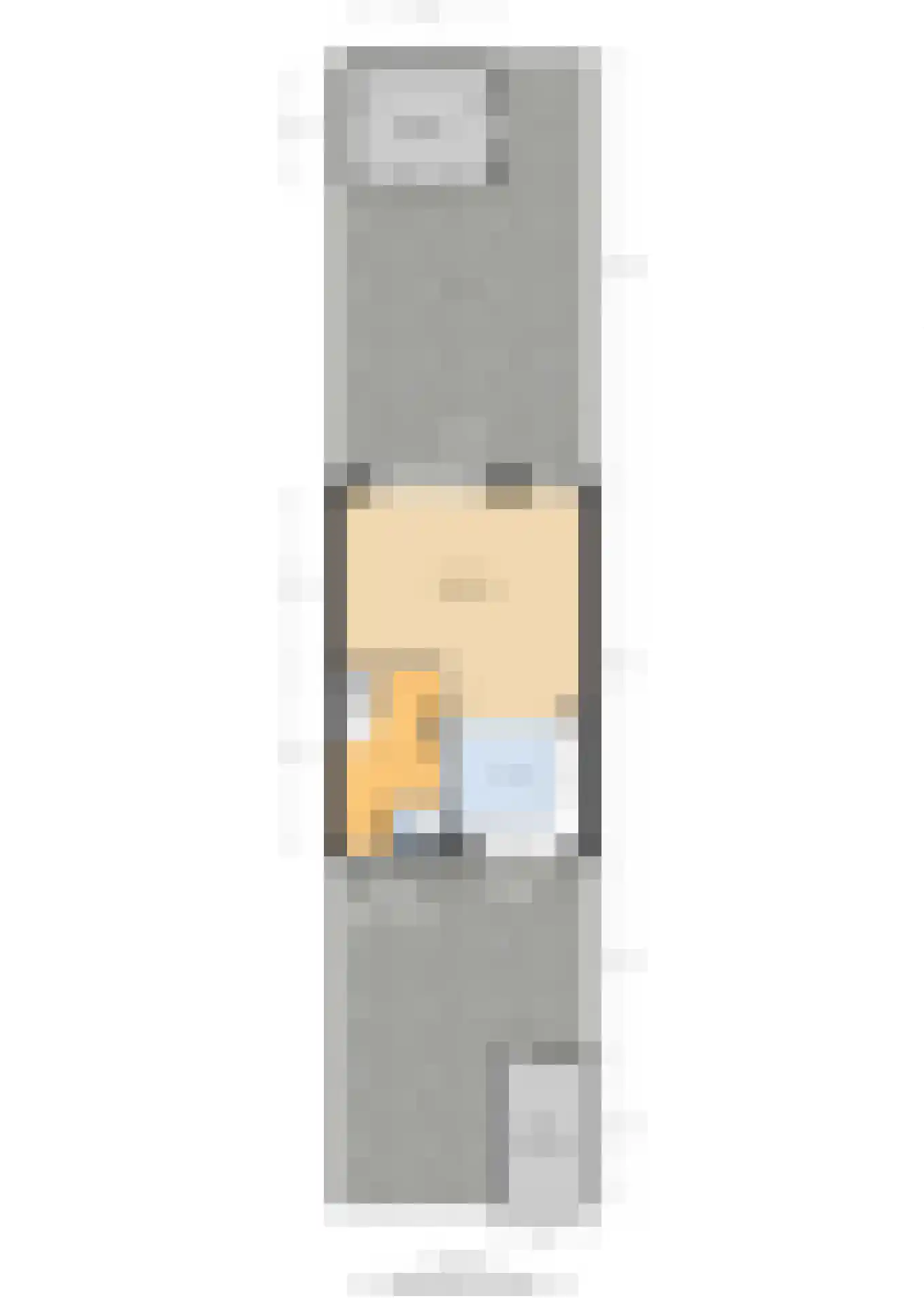 Trasmolen 13 Papendrecht thumbnail 42
