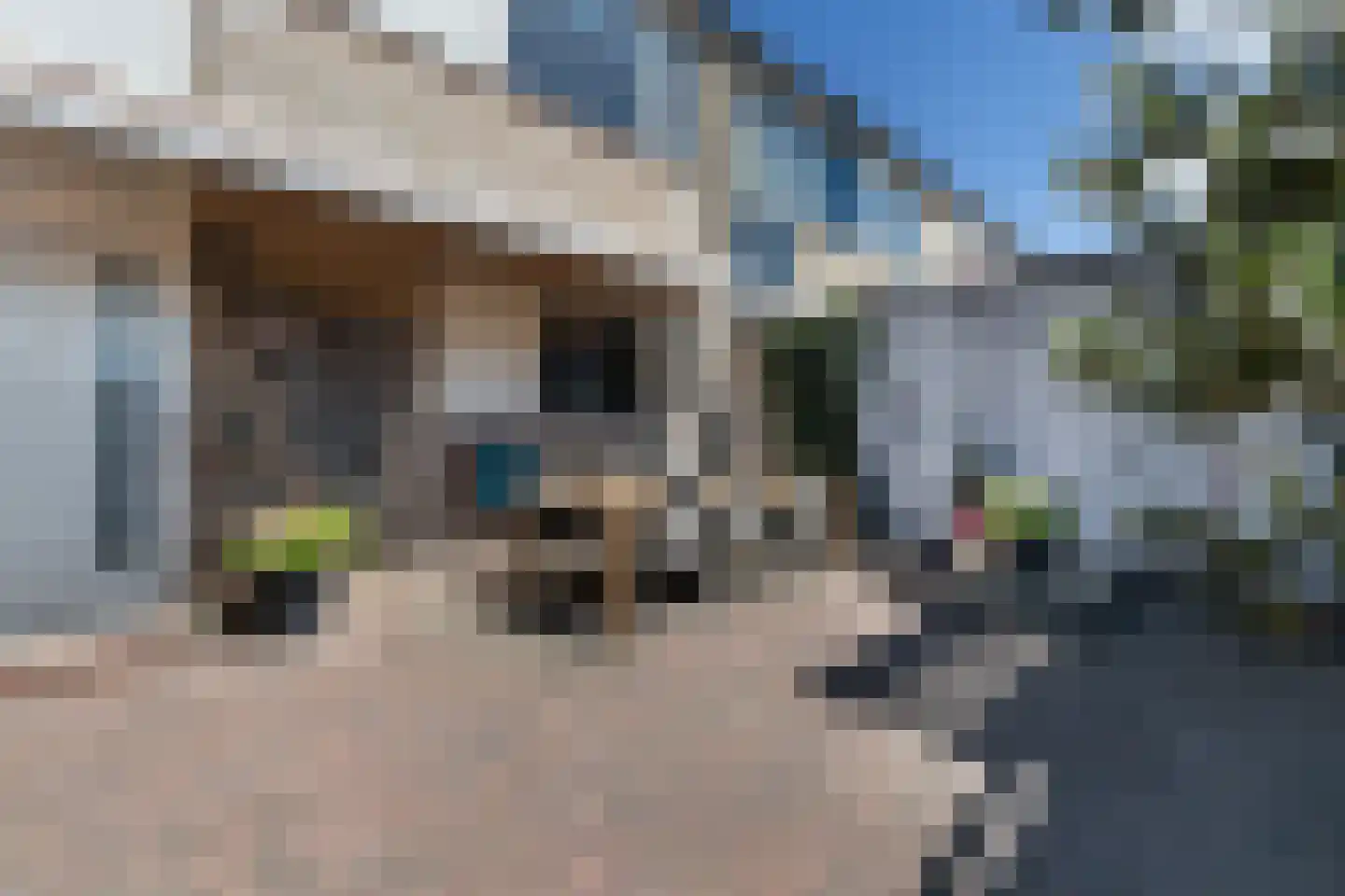 Trasmolen 13 Papendrecht thumbnail 6