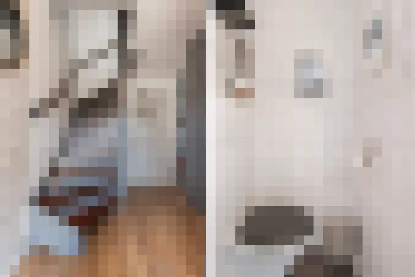 Trasmolen 13 Papendrecht thumbnail 8
