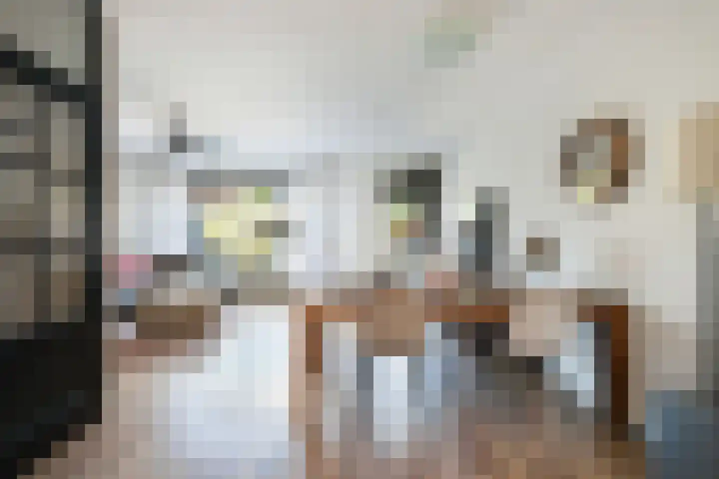 Trasmolen 13 Papendrecht thumbnail 9