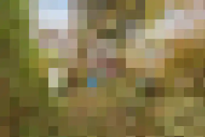 Trasmolen 14 Heerhugowaard thumbnail 13