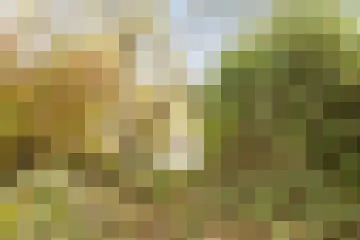 Trasmolen 14 Heerhugowaard thumbnail 14