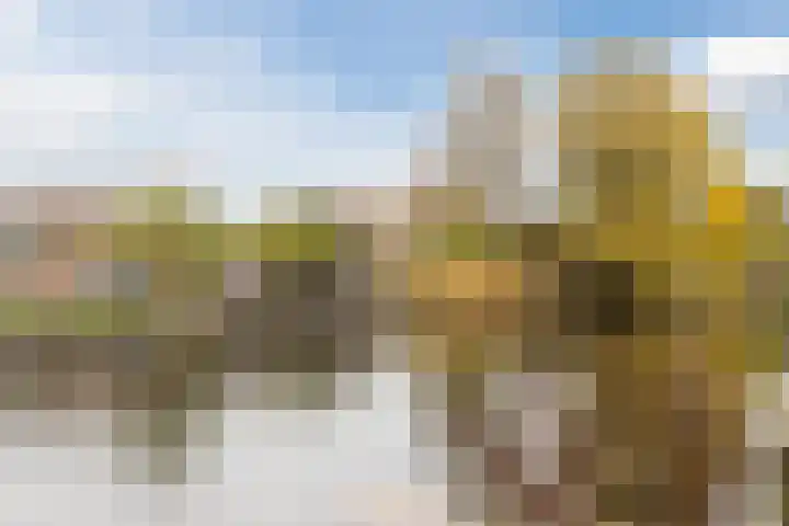 Trasmolen 14 Heerhugowaard thumbnail 15