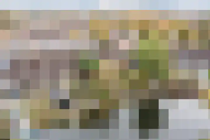 Trasmolen 14 Heerhugowaard thumbnail 16
