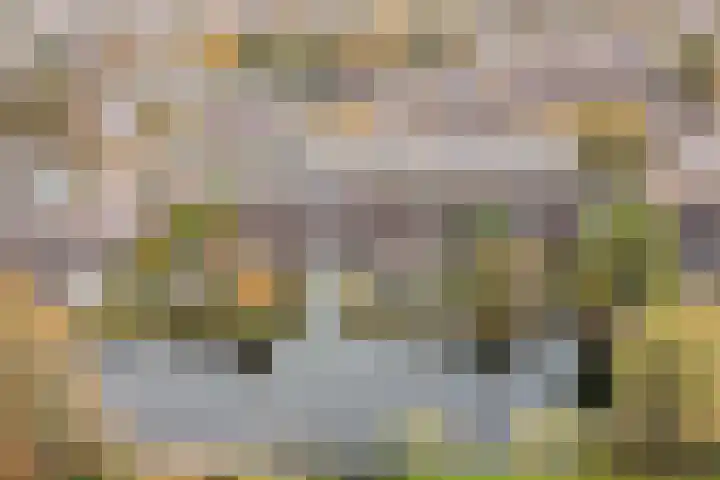 Trasmolen 14 Heerhugowaard thumbnail 17