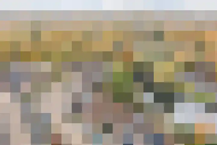 Trasmolen 14 Heerhugowaard thumbnail 19