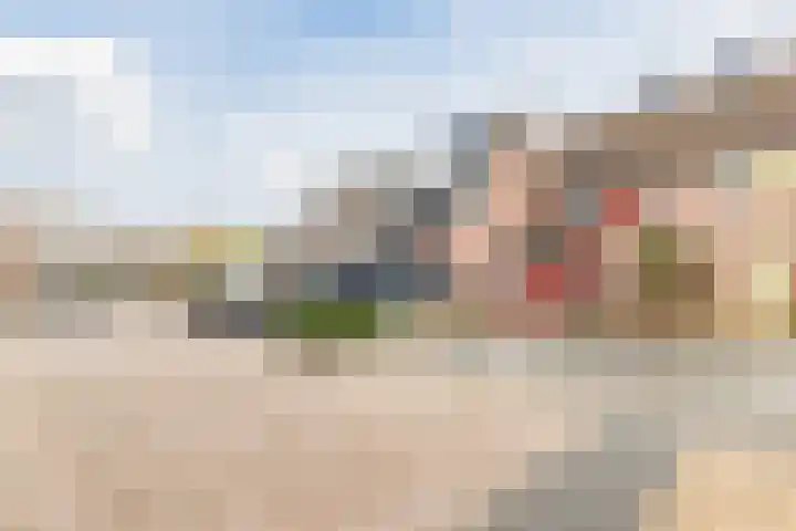 Trasmolen 14 Heerhugowaard thumbnail 20