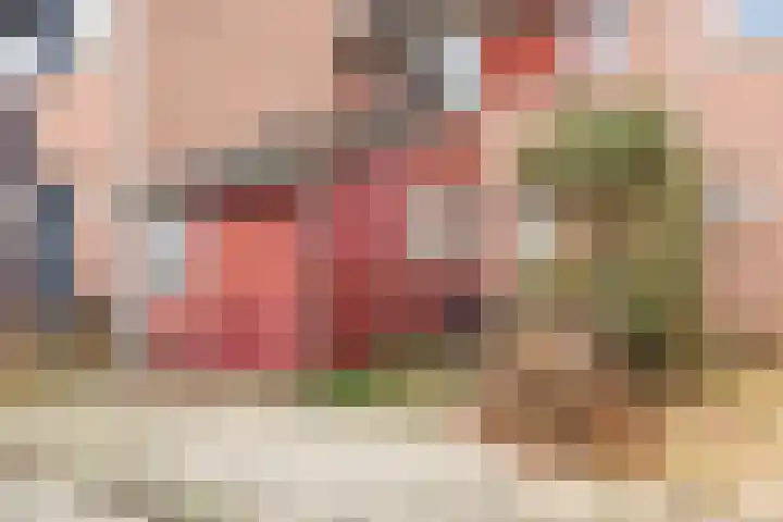 Trasmolen 14 Heerhugowaard thumbnail 4