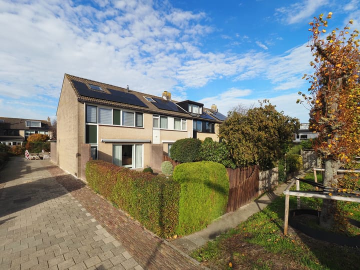 Trasmolen 2 in Papendrecht Foto