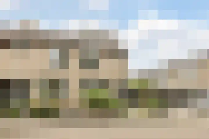 Trasmolen 2 Heerjansdam