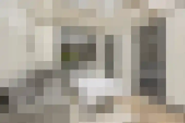 Trasmolen 2 Heerjansdam thumbnail 10