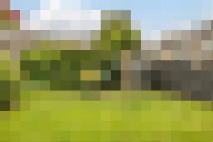 Trasmolen 2 Heerjansdam thumbnail 12