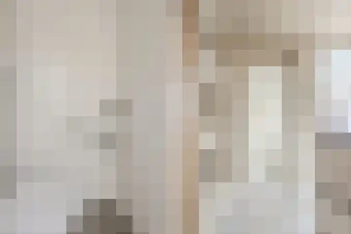 Trasmolen 2 Heerjansdam thumbnail 19