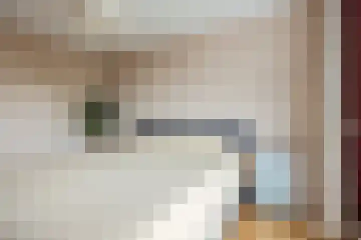 Trasmolen 2 Heerjansdam thumbnail 23