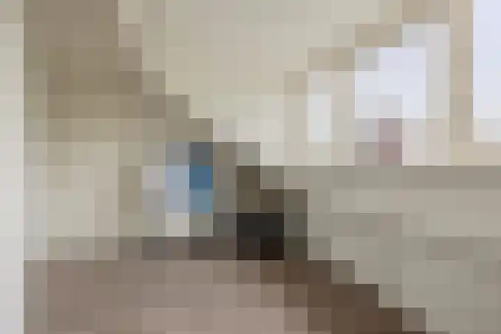 Trasmolen 2 Heerjansdam thumbnail 36