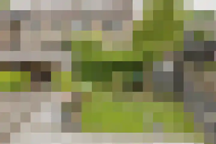 Trasmolen 2 Heerjansdam thumbnail 37