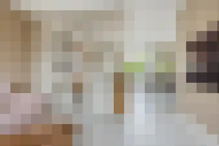 Trasmolen 2 Heerjansdam thumbnail 4