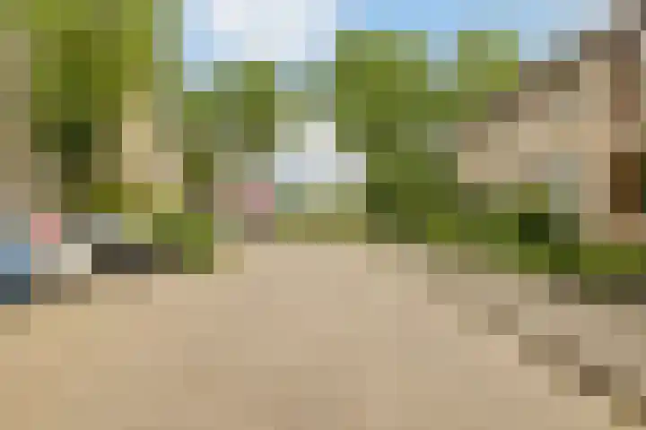Trasmolen 2 Heerjansdam thumbnail 41