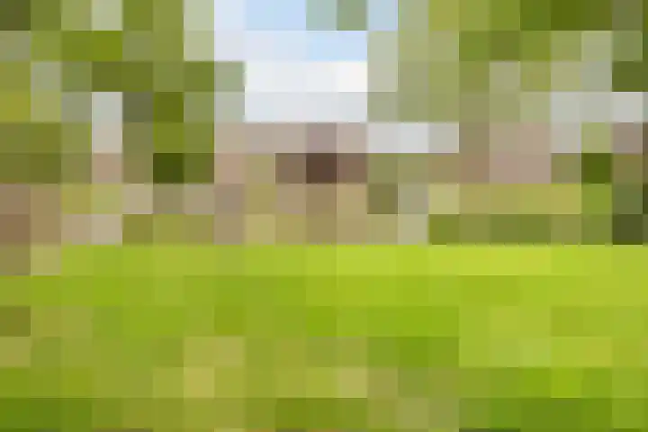 Trasmolen 2 Heerjansdam thumbnail 43