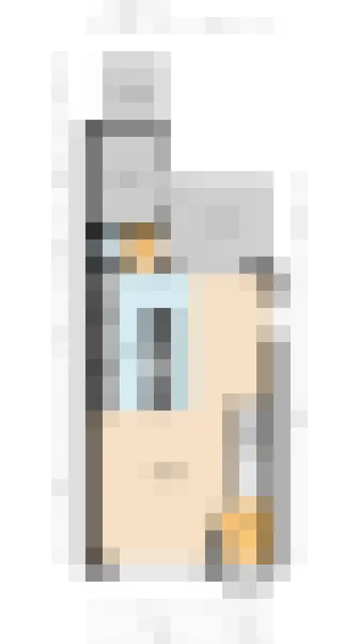 Trasmolen 2 Heerjansdam thumbnail 44
