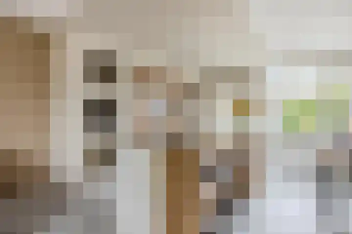 Trasmolen 2 Heerjansdam thumbnail 5
