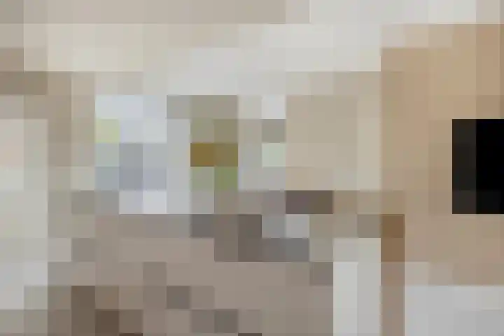 Trasmolen 2 Heerjansdam thumbnail 6