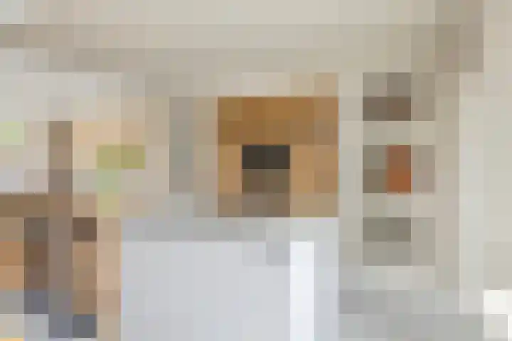 Trasmolen 2 Heerjansdam thumbnail 8