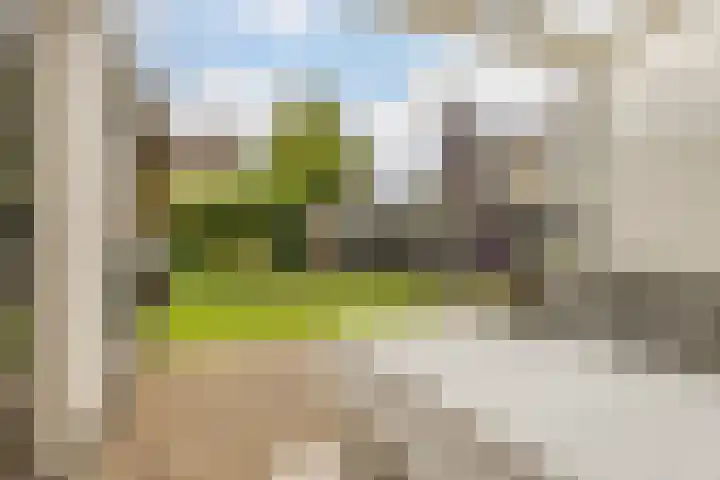 Trasmolen 2 Heerjansdam thumbnail 9