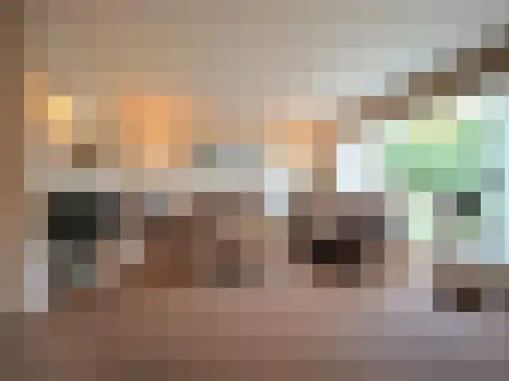 Trasmolen 2 Papendrecht thumbnail 10
