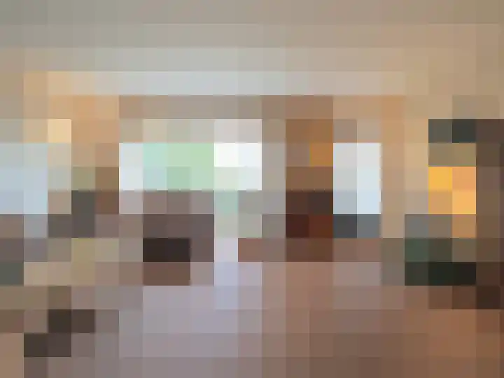 Trasmolen 2 Papendrecht thumbnail 11