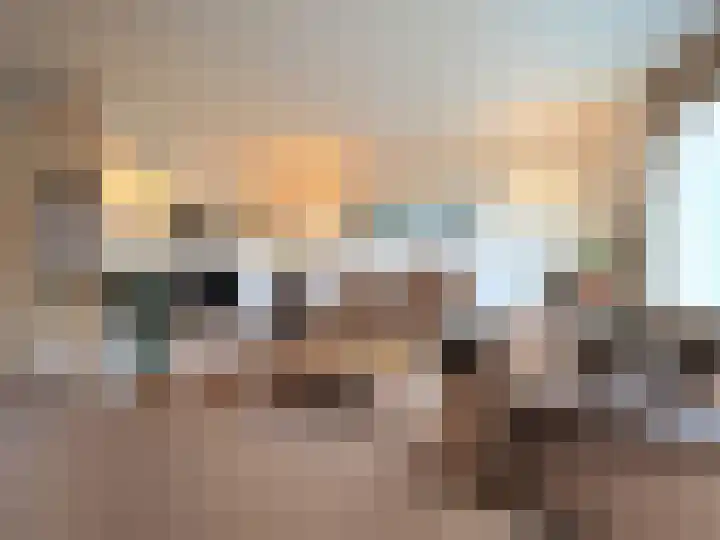 Trasmolen 2 Papendrecht thumbnail 12