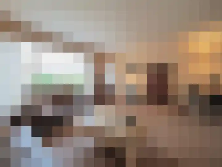 Trasmolen 2 Papendrecht thumbnail 13