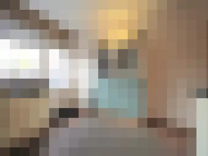 Trasmolen 2 Papendrecht thumbnail 19