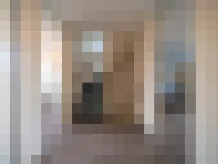 Trasmolen 2 Papendrecht thumbnail 21