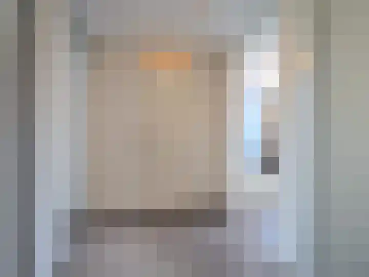 Trasmolen 2 Papendrecht thumbnail 22