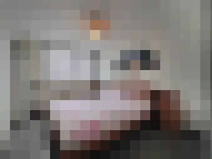 Trasmolen 2 Papendrecht thumbnail 23