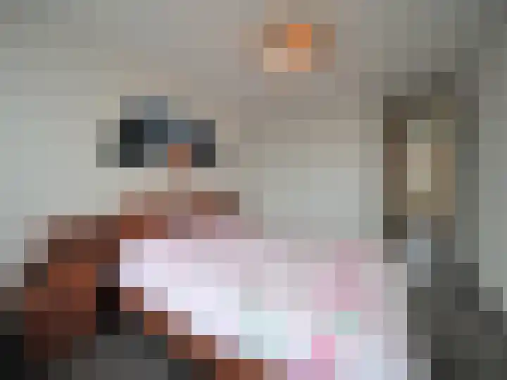 Trasmolen 2 Papendrecht thumbnail 24