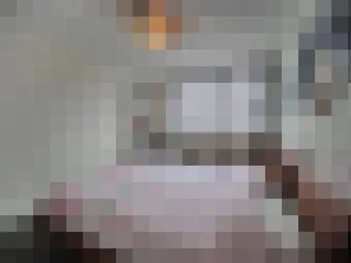 Trasmolen 2 Papendrecht thumbnail 25