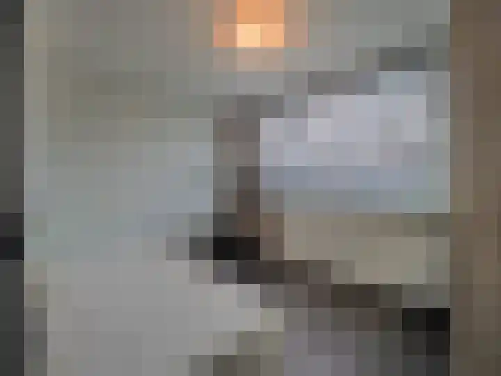Trasmolen 2 Papendrecht thumbnail 31
