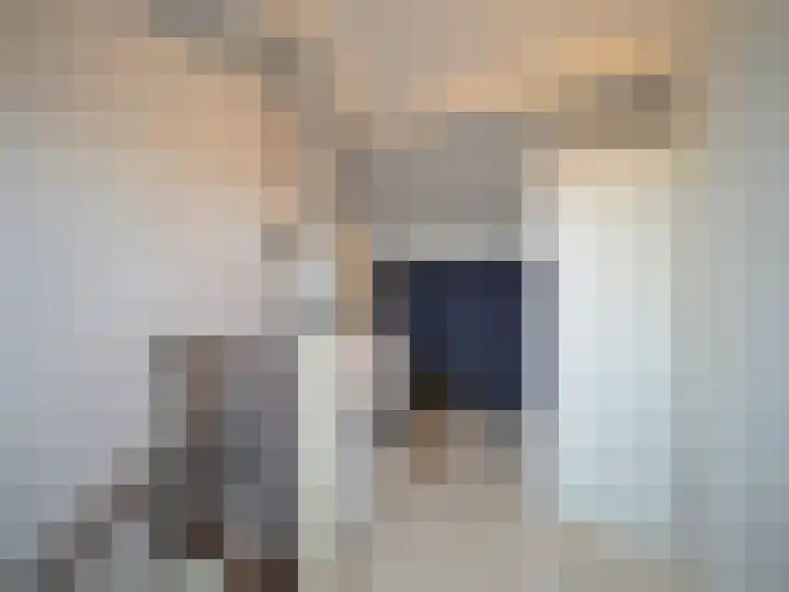 Trasmolen 2 Papendrecht thumbnail 38