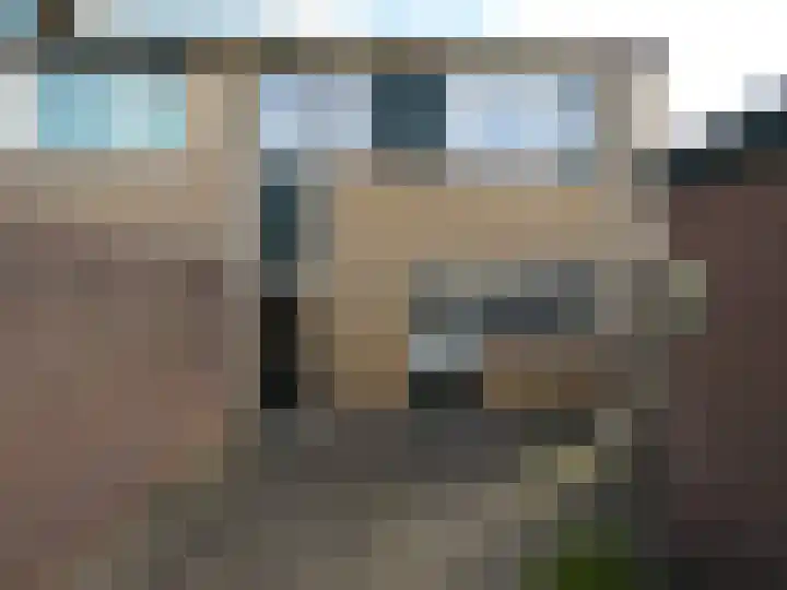 Trasmolen 2 Papendrecht thumbnail 4