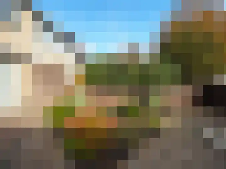 Trasmolen 2 Papendrecht thumbnail 45