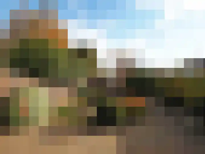 Trasmolen 2 Papendrecht thumbnail 46