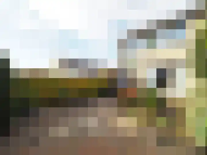 Trasmolen 2 Papendrecht thumbnail 47