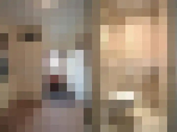 Trasmolen 2 Papendrecht thumbnail 7