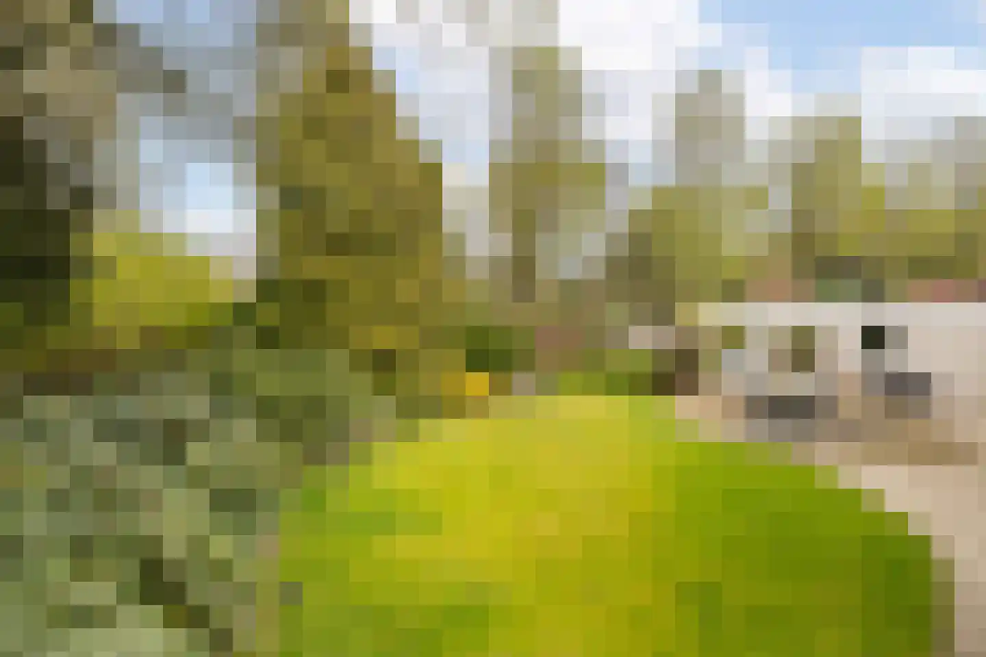 Trasmolen 3 Alphen aan den Rijn foto 2