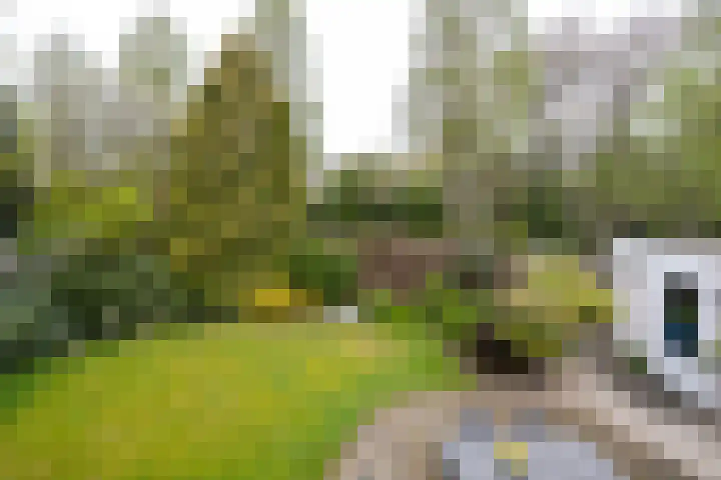 Trasmolen 3 Alphen aan den Rijn thumbnail 25