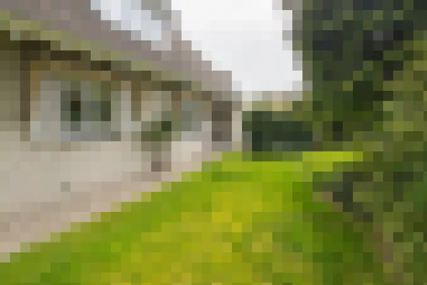 Trasmolen 3 Alphen aan den Rijn thumbnail 27